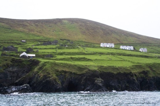Великий Остров Бласкет, Ирландия