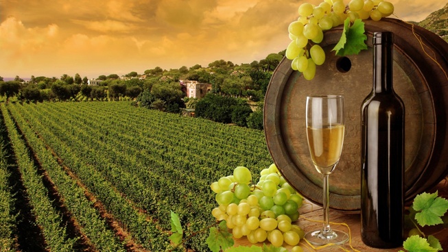 Вино – объем экспорта по странам