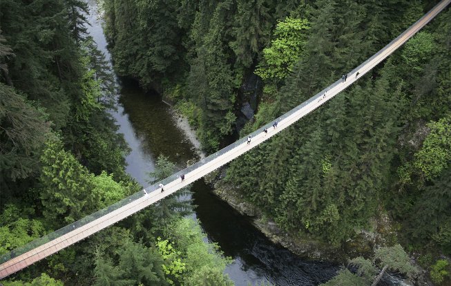 Подвесной мост в Скалистых горах