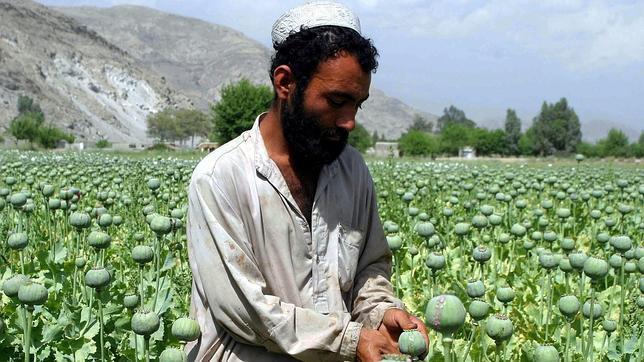 Экономика Афганистана 2013