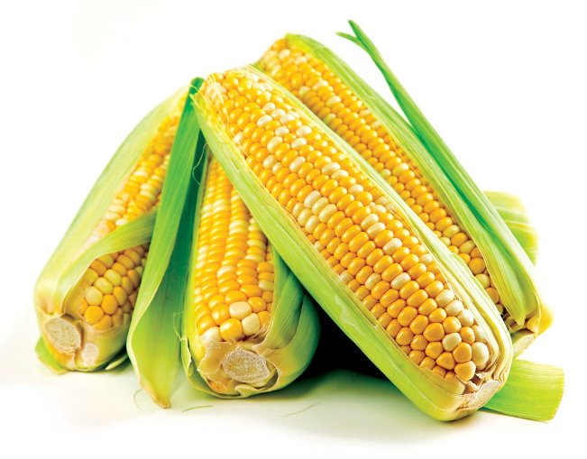 Кукуруза - объем экспорта по странам