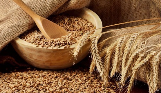 Прогноз цен на пшеницу до 2021 года