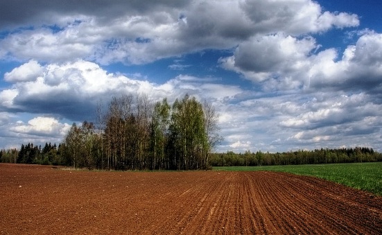 Сельскохозяйственная земля